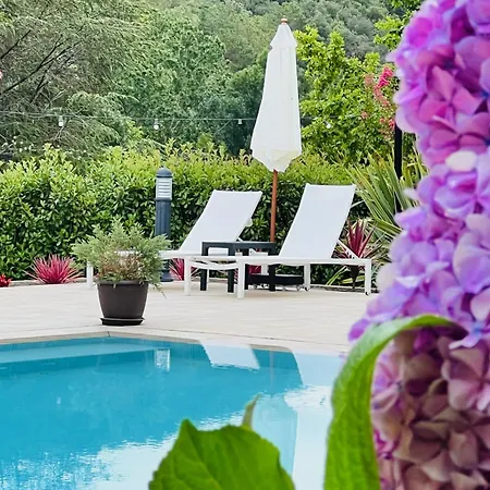 Marlet Boutique Hotel 3*